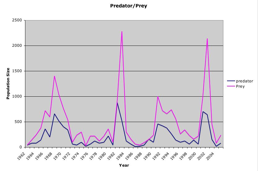 predator population vs prey population