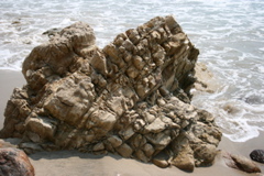 sedimentary rocks