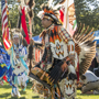 Celebrating Native American Life at Powwow