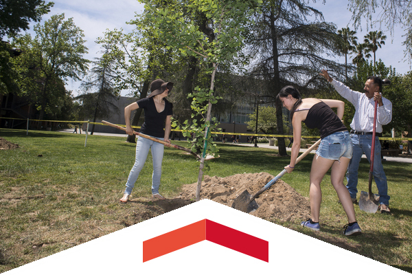 Students planting a tree at Earth Fair.