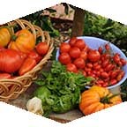 CSUN will offer tips on how to grow a vegetable garden on March 25. 