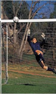 jpeg image of soccer goalie