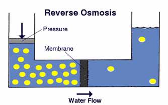 osmosis diagram