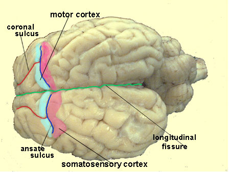 Index of /~vcpsy00i/dissfa01