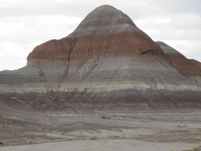 petriefied forest