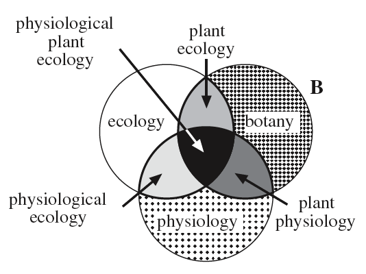 knowledge-centered