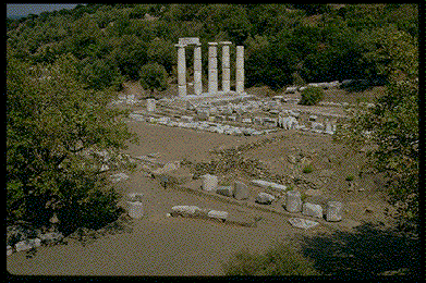 View of the Temple