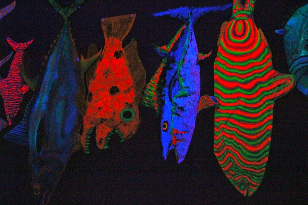 Bright radioactive fish on display at the CSUN art gallery.