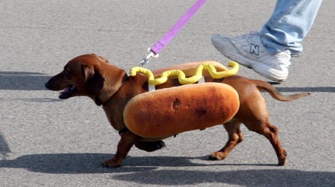 real-hot-dog