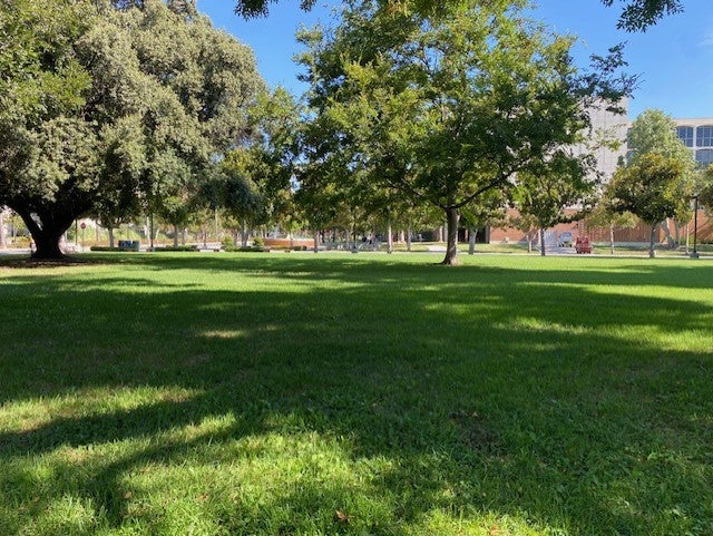 Bayramian Hall Lawn West