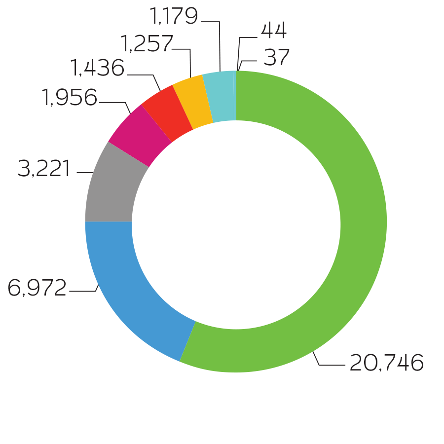 Campus population race.