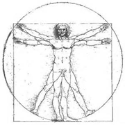 da vinci man in a circle