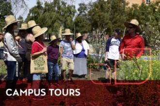 Tour of Food Garden