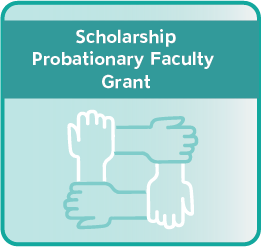 Scholarship - Probationary Faculty Grant