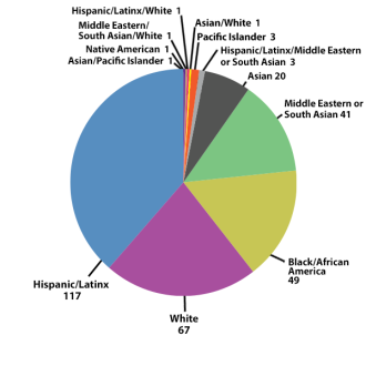 Pie chart showing percieved race or ethnicity of person stopped.