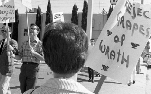 Grape boycott picket outside Safeway. San Francisco, 1967. Photograph by Emmon Clarke.