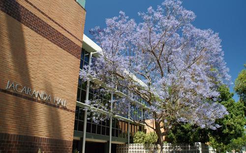 Jacaranda Hall