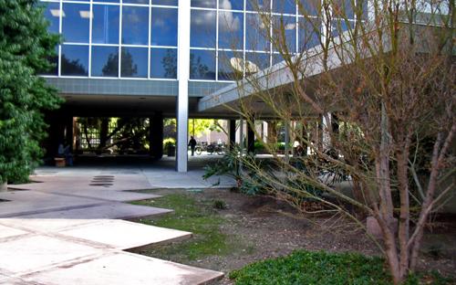 Jacaranda Courtyard