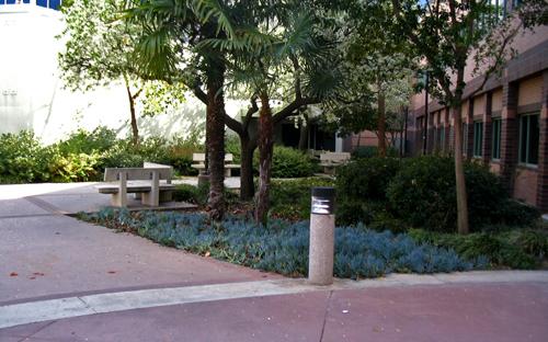 Jacaranda Courtyard