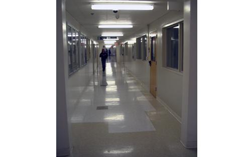 Jacaranda Hallway