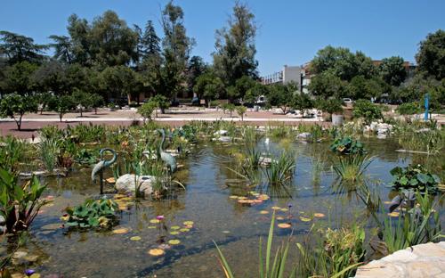 Orange Grove Pond