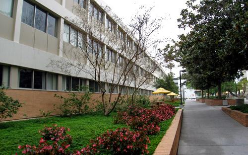 Sierra-Jerome Courtyard