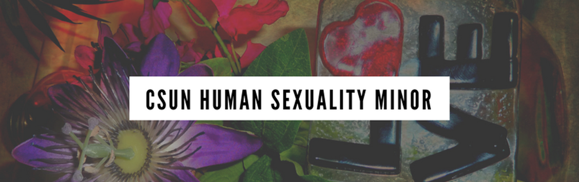 Careers in Human Sexuality California State University Northridge