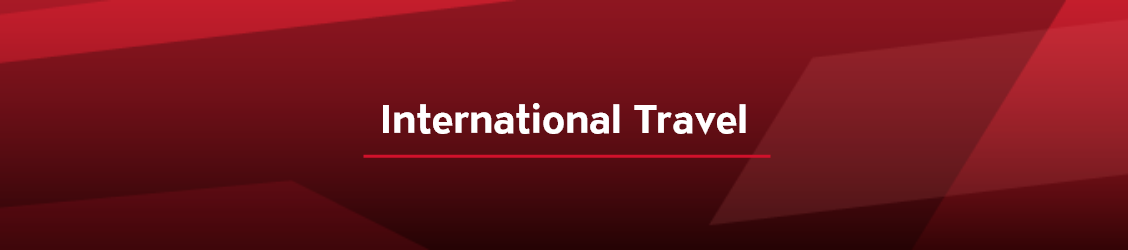 International Travel - Banner