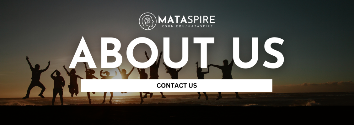 mataspire about us
