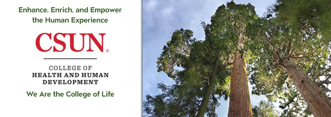 HHD enhance enrich and empower the human experience shows sequoia trees against the sky