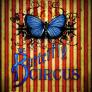 The Butterfly Circus flyer