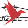 Tsuru for Solidarity and Detention Watch Network: Organizing Across Generations and Across Communities