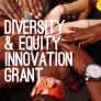 Diversity &amp; Equity Innovation Grant