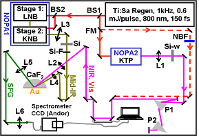 Generation of Sub-30 fs Microjoule Mid-infrared Pulses for Ultrafast Vibrational Dynamics at Solid/Liquid Interfaces