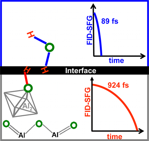 Vibrational Dynamics of Interfacial Water by Free Induction Decay Sum-Frequency Generation (FID-SFG) at the Al2O3(1120)/H2O Interface