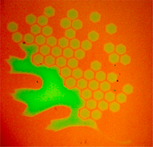 Digital Transfer Growth of Patterned 2D Metal Chalcogenides by Confined Nanoparticle Evaporation