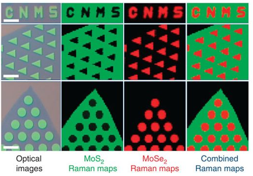 Patterned Arrays of Lateral Heterojunctions within Monolayer 2D Semiconductors