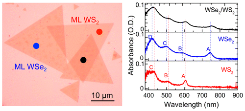 Interlayer Coupling in Twisted WSe2/WS2 Bilayer Heterostructures Revealed by Optical Spectroscopy