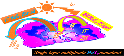 In-plane Heterojunctions Enable Multiphasic 2D MoS2 Nanosheets as Efficient Photocatalysts for Hydrogen Evolution from Water Reduction