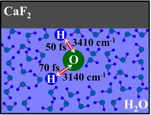 Capturing the Ultrafast Vibrational Decoherence of Hydrogen Bonding in Interfacial Water