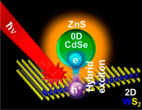 Ultrafast Charge Transfer and Formation of Hybrid Excitons at 2D/0D Heterostructures