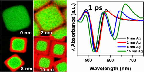 Ultrafast Excited-State Dynamics in Shape- and CompositionControlled Gold−Silver Bimetallic Nanostructures