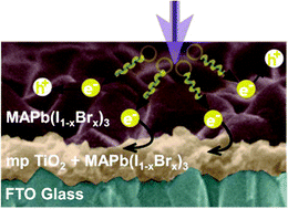 Bromine Substitution Improves Excited-State Dynamics in Mesoporous Mixed Halide Perovskite Films