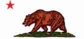 Image of California Bear