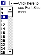 Font Size menu