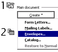 Create Envelopes Selection in Mail Merge Helper