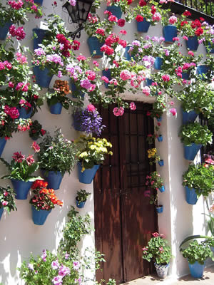 Concurso_de_Patios_flowers