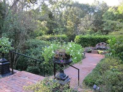 garden