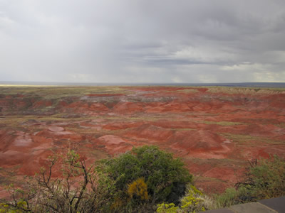 painted desert