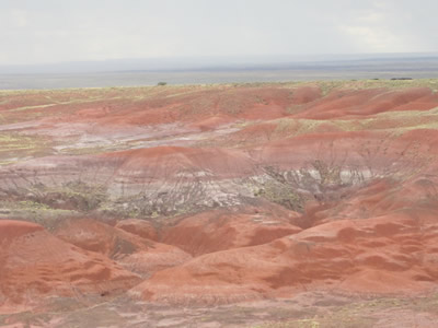 painted desert